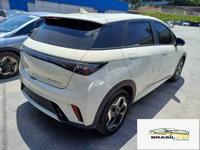 DOLPHIN EV GS 70 KW
