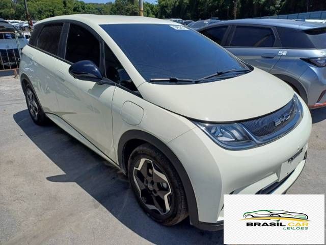 DOLPHIN EV GS 70 KW