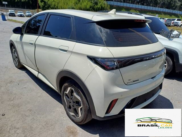 DOLPHIN EV GS 70 KW