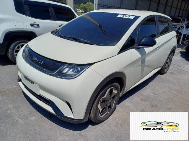 DOLPHIN EV GS 70 KW